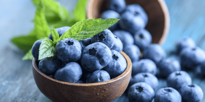 Frozen Blueberries We propose premium quality frozen blueberries. mskaramex mskaramex